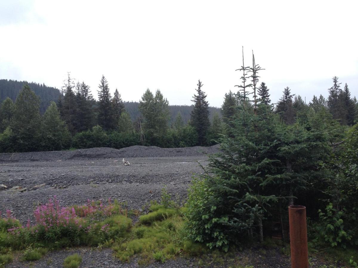 Glacier Creek Cabins Seward Chambre photo